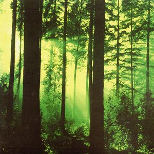 Image for 'Forests of Witchery'