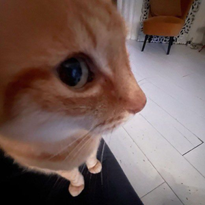 Yo_19023