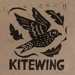 'Kitewing'の画像