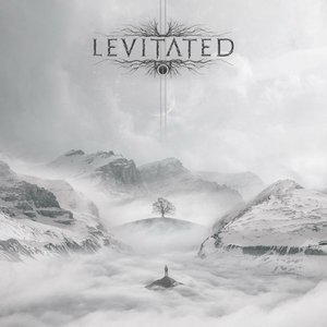 Image for 'Levitated'