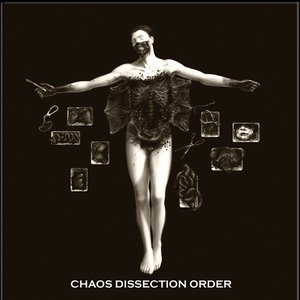 'Chaos Dissection Order'の画像