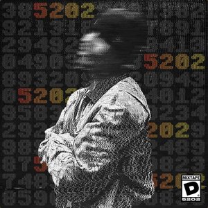 “5202”的封面