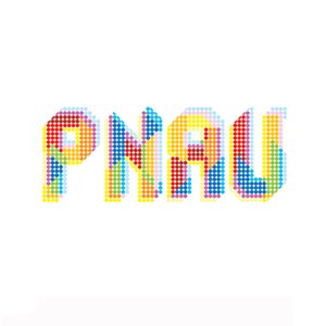 Image for 'PNAU - (2007) PNAU'