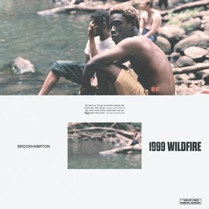 Image for '1999 WILDFIRE'