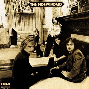 Image for 'the Sidewinders'