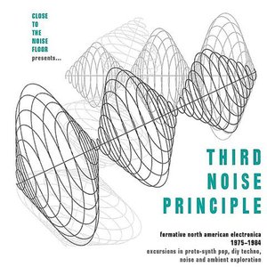 Immagine per 'Close To The Noise Floor Presents... Third Noise Principle (Formative North American Electronica 1975-1984)'