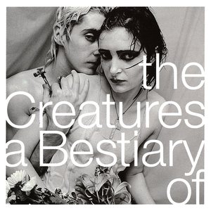 'A Bestiary Of'の画像