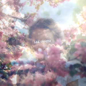 'Sea Oleena'の画像