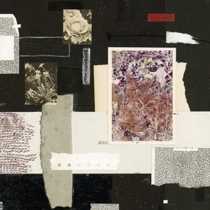 Image for 'Serenity Now'