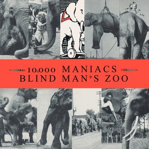 Bild für 'Blind Man's Zoo'