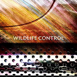 Image for 'Wildlife Control'