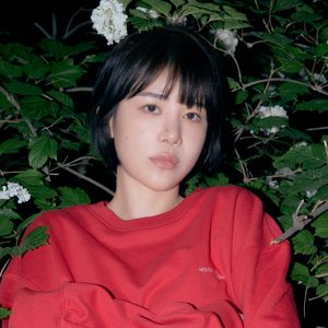 “보배”的封面