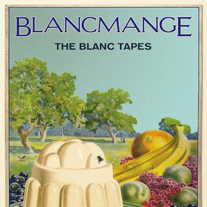 Image for 'The Blanc Tapes'