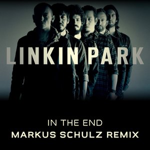 'In The End (Markus Schulz Tribute Remix)'の画像