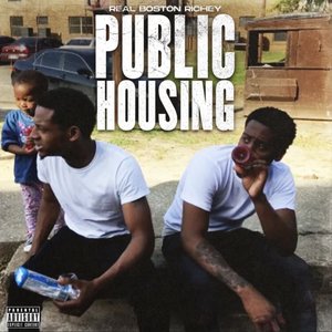 Image for 'Public Housing'