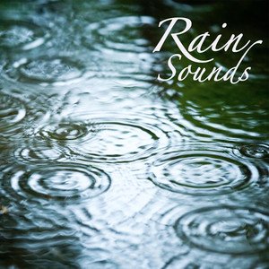 'Rain Sounds: Rain Sound Meditation, Relaxing Sound of Rain, Massage Yoga Music and Ambient Soothing Sounds'の画像