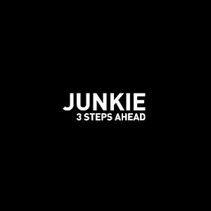 “Junkie”的封面