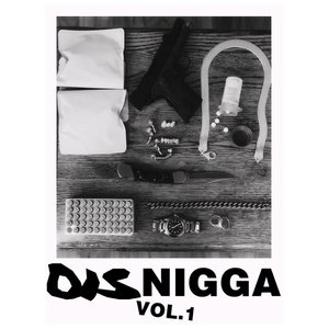 Image for 'DisNigga, Vol. 1'