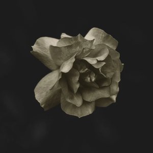 Image for 'GLDMTH'