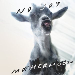 “Motherhood”的封面