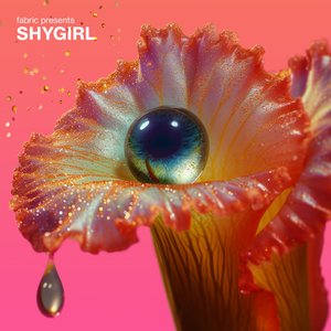 Image for 'fabric presents Shygirl'