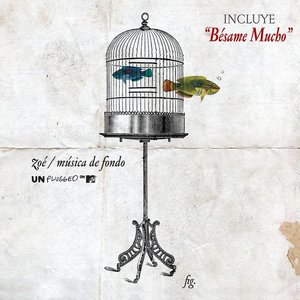 Image for 'MTV Unplugged Música De Fondo (Reissue/Live)'