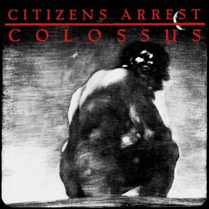 Image for 'colossus'