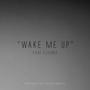 Image for 'Wake Me Up'