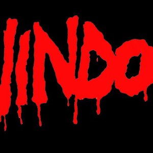 “Windoc”的封面