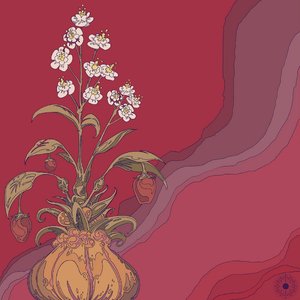 'RED'の画像