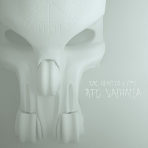 Imagem de 'Into Valhalla'