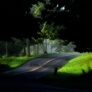 Immagine per 'Treehouse (feat. Emily Yacina) - Single'