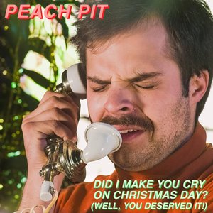 Image for 'Did I Make You Cry on Christmas Day? (Well, You Deserved It!)'