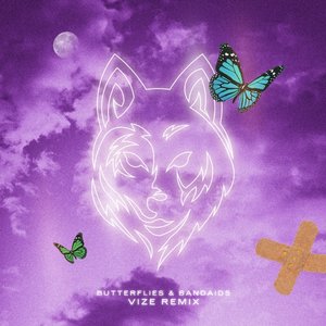 Zdjęcia dla 'Butterflies & Bandaids (VIZE Remix)'