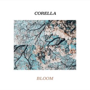 “Bloom”的封面