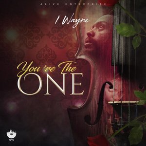 Immagine per 'You're The One'