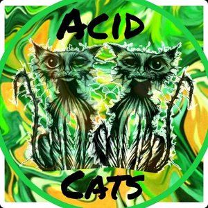 'Acid Cats'の画像