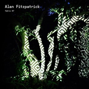 Image for 'fabric 87: Alan Fitzpatrick'
