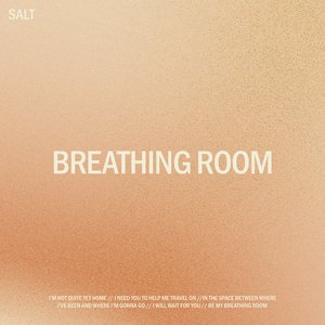 “Breathing Room”的封面