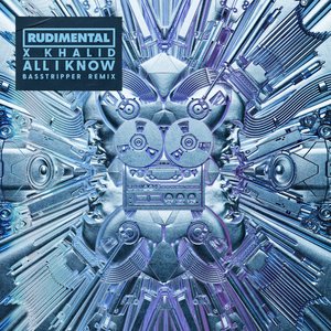 Image for 'All I Know (Basstripper Remix)'