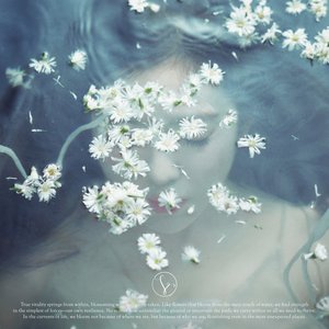 Image for 'Like A Flower'