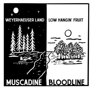 Image for 'Weyerhaeuser Land / Low Hangin' Fruit'