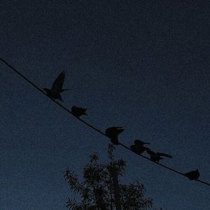Image pour 'Mis Lágrimas y Yo'