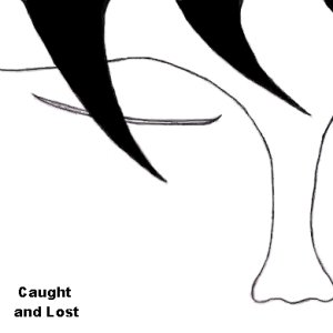 Image pour 'Caught and Lost'