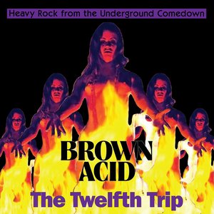 Image for 'Brown Acid - The Twelfth Trip'