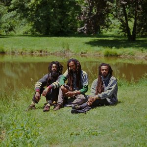 'Israel Vibration' için resim