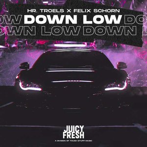 Image for 'Down Low'