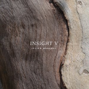 Image for 'INSIGHT V'