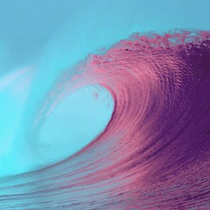 Image pour 'The Ocean Waves Experts'