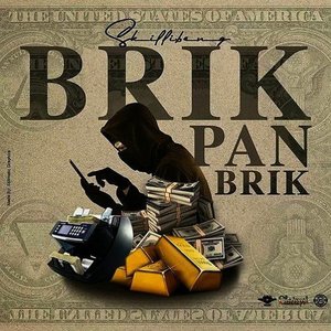 Image for 'Brik Pan Brik'